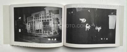 Nobuyoshi Araki,Pseudo Diary