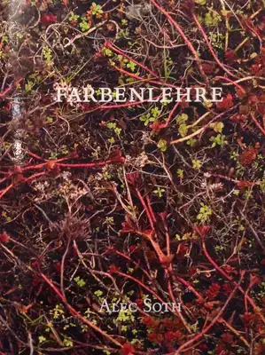 Alec Soth – Farbenlehre (sealed copy)
