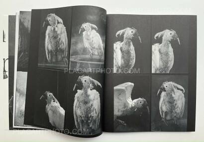 Wouter Van de Voorde,Death is not here Wouter Van de Voorde,Death is not here