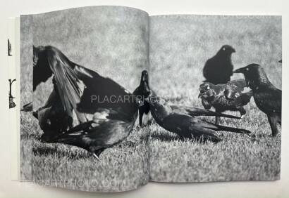 Wouter Van de Voorde,Death is not here Wouter Van de Voorde,Death is not here