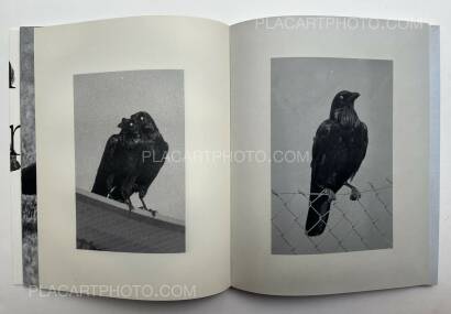 Wouter Van de Voorde,Death is not here Wouter Van de Voorde,Death is not here