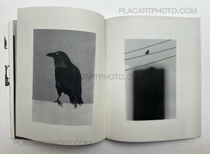 Wouter Van de Voorde,Death is not here Wouter Van de Voorde,Death is not here