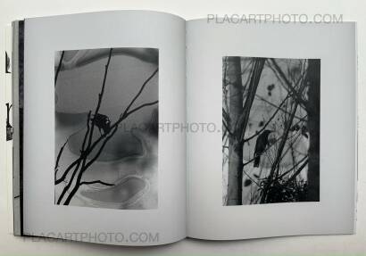 Wouter Van de Voorde,Death is not here Wouter Van de Voorde,Death is not here