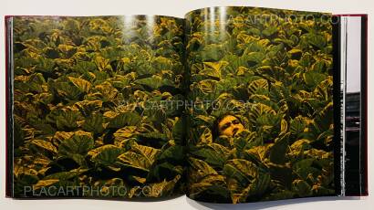 Toshihiro Asakura, Maro Akaji / Genyako (Signed) Toshihiro Asakura, Maro Akaji / Genyako (Signed)