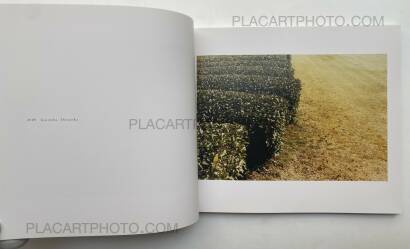 Hiroki Matsui,SUNNY (Signed) Hiroki Matsui,SUNNY (Signed)