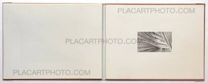 Shoji Ueda,Shoji Ueda Polaroid 35m/m Photo Album Shoji Ueda,Shoji Ueda Polaroid 35m/m Photo Album