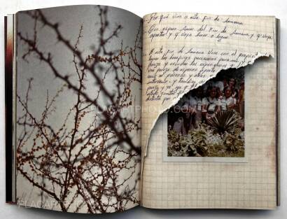 Paola Jiménez Quispe,Rules for fighting Paola Jiménez Quispe,Rules for fighting