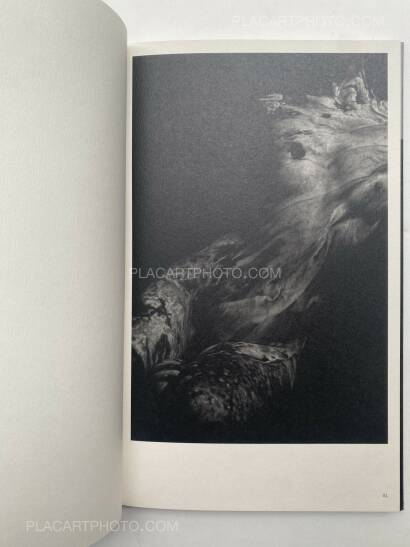 Mazuki Yoko,a priori innerplants (Signed) Mazuki Yoko,a priori innerplants (Signed)