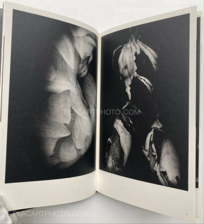 Mazuki Yoko,a priori innerplants (Signed) Mazuki Yoko,a priori innerplants (Signed)