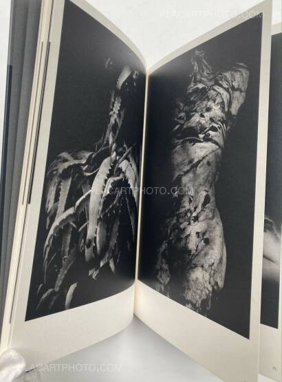 Mazuki Yoko,a priori innerplants (Signed) Mazuki Yoko,a priori innerplants (Signed)