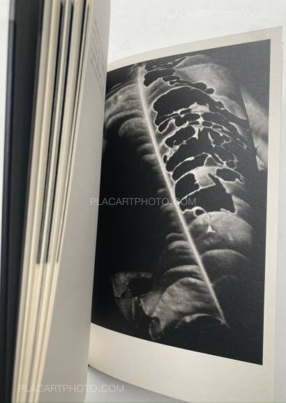 Mazuki Yoko,a priori innerplants (Signed) Mazuki Yoko,a priori innerplants (Signed)