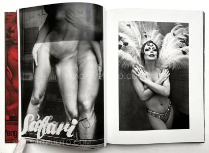 André Gelpke,Sex-Theater André Gelpke,Sex-Theater