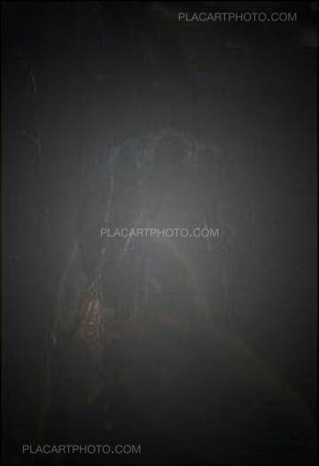 Feng Li,White Night (First edition) Feng Li,White Night (First edition)