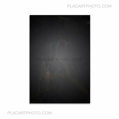 Feng Li,White Night (First edition) Feng Li,White Night (First edition)