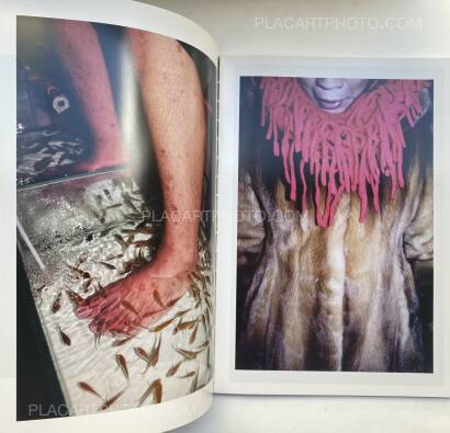 Feng Li,White Night (First edition) Feng Li,White Night (First edition)