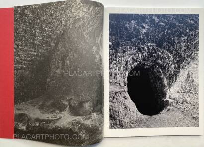Geert Goiris,Prolifération (with signed print) Geert Goiris,Prolifération (with signed print)