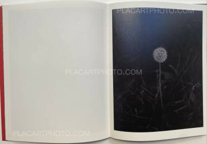 Geert Goiris,Prolifération (with signed print) Geert Goiris,Prolifération (with signed print)