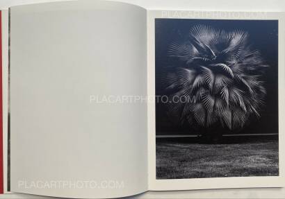 Geert Goiris,Prolifération (with signed print) Geert Goiris,Prolifération (with signed print)