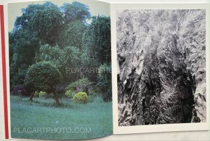 Geert Goiris,Prolifération (with signed print) Geert Goiris,Prolifération (with signed print)