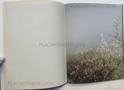 Geert Goiris,Prolifération (with signed print) Geert Goiris,Prolifération (with signed print)