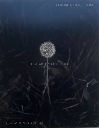 Geert Goiris,Prolifération (with signed print) Geert Goiris,Prolifération (with signed print)