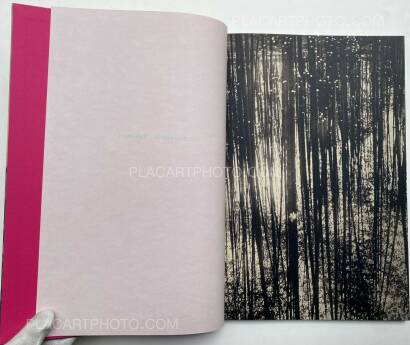 Paul Cupido,Éphémère (SIGNED)  Paul Cupido,Éphémère (SIGNED)