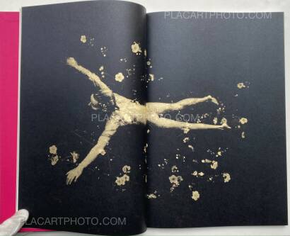 Paul Cupido,Éphémère (SIGNED)  Paul Cupido,Éphémère (SIGNED)