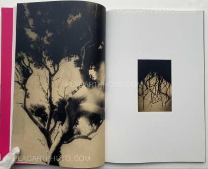 Paul Cupido,Éphémère (SIGNED)  Paul Cupido,Éphémère (SIGNED)