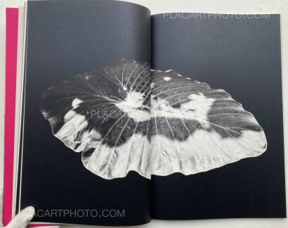 Paul Cupido,Éphémère (SIGNED)  Paul Cupido,Éphémère (SIGNED)