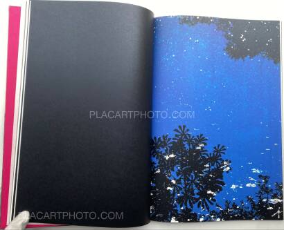 Paul Cupido,Éphémère (SIGNED)  Paul Cupido,Éphémère (SIGNED)