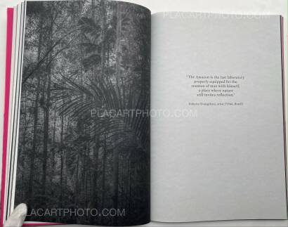 Paul Cupido,Éphémère (SIGNED)  Paul Cupido,Éphémère (SIGNED)