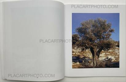 Nick Waplington,NEITHER A SALT SPRING NOR A HORSE (SIGNED) Nick Waplington,NEITHER A SALT SPRING NOR A HORSE (SIGNED)