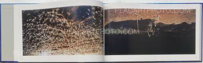 Naoya Hatakeyama,Ciel Tombé (with The Astrologer by Sylvie Germain ) Naoya Hatakeyama,Ciel Tombé (with The Astrologer by Sylvie Germain )