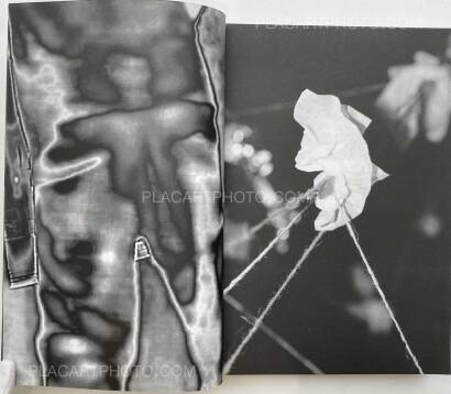 Collective,SPEW Collective,SPEW