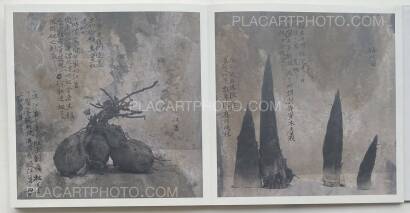 Wei Bi,MENGXI 2 (SIGNED) Wei Bi,MENGXI 2 (SIGNED)