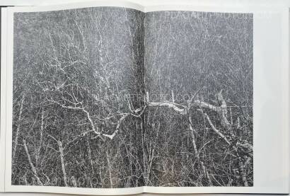 Jungjin Lee,VOICE Jungjin Lee,VOICE