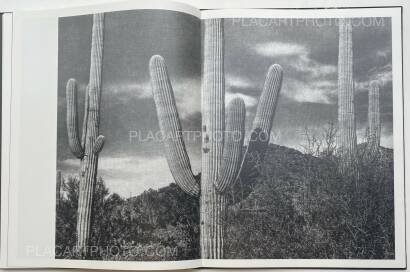 Jungjin Lee,VOICE Jungjin Lee,VOICE