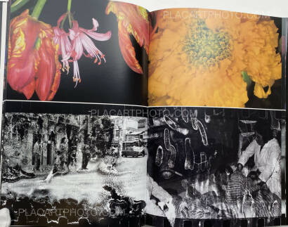 Nobuyoshi Araki,Shijyo: Tokyo Marketplace of Emotions  Nobuyoshi Araki,Shijyo: Tokyo Marketplace of Emotions