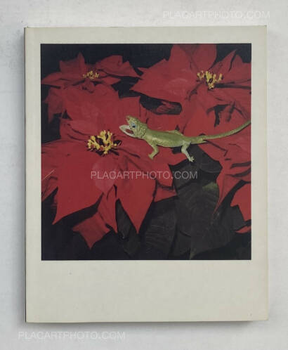Nobuyoshi Araki,POLAROID (SIGNED) Nobuyoshi Araki,POLAROID (SIGNED)