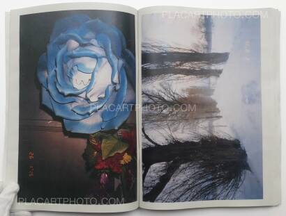 Daisuke Yokota,Towards the North (SIGNED) Daisuke Yokota,Towards the North (SIGNED)