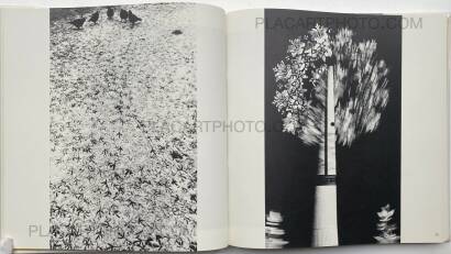 Collective,Koseki Collective,Koseki