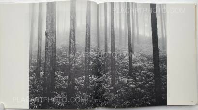 Collective,Koseki Collective,Koseki