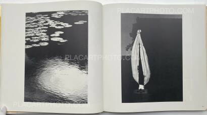 Collective,Koseki Collective,Koseki