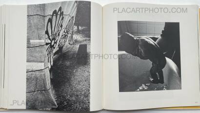 Collective,Koseki Collective,Koseki