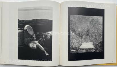 Collective,Koseki Collective,Koseki