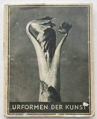 Karl Blossfeldt,Urformen der Kunst