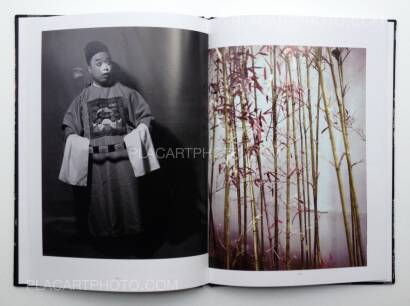 Han Lei,The Critical conditions of my awareness will sometimes trigger the shutter (Signed) Han Lei,The Critical conditions of my awareness will sometimes trigger the shutter (Signed)
