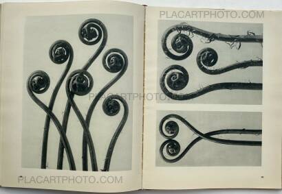 Karl Blossfeldt,Urformen der Kunst