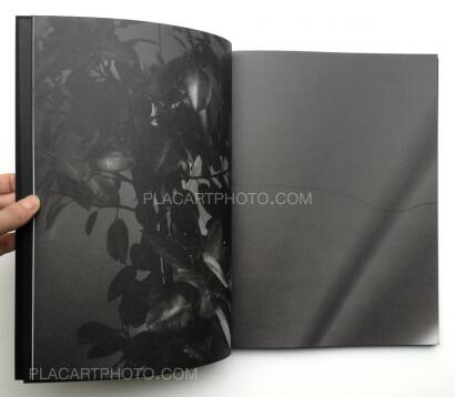 Michel Mazzoni,Collisions (Signed) Michel Mazzoni,Collisions (Signed)
