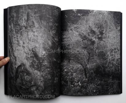 Michel Mazzoni,Collisions (Signed) Michel Mazzoni,Collisions (Signed)